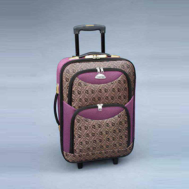 finished products luggage